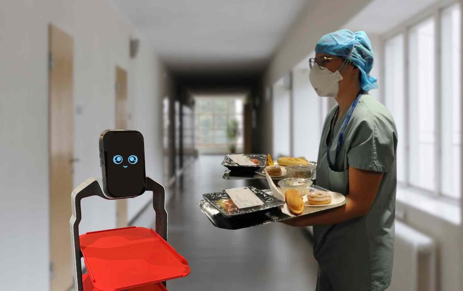 robot serveur sakura france service